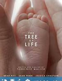 生命之树 The Tree of Life (2011)