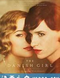 丹麦女孩 The Danish Girl (2015)