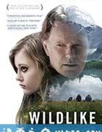 我心略野 Wildlike (2014)