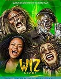 新绿野仙踪 The Wiz Live! (2015)