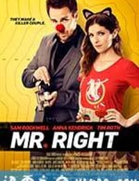 真命天子 Mr. Right (2015)