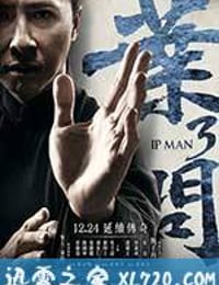 叶问3 (2015)