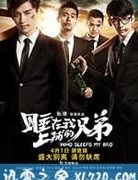 睡在我上铺的兄弟 (2016)