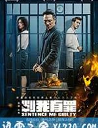 判我有罪 (2015)