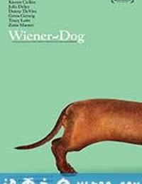 腊肠狗 Wiener-Dog (2016)