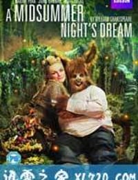 仲夏夜之梦 A Midsummer Night's Dream (2016)