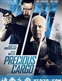 珍宝大战 Precious Cargo (2016)