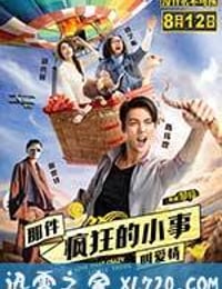 那件疯狂的小事叫爱情 (2016)