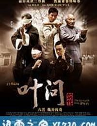 叶问前传 (2010)