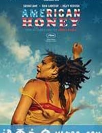 美国甜心 American Honey (2016)