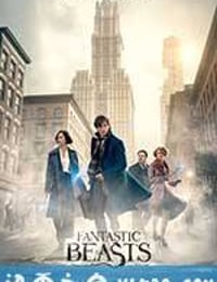 神奇动物在哪里 Fantastic Beasts and Where to Find Them (2016)