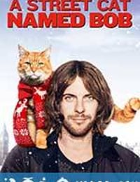 流浪猫鲍勃 A Street Cat Named Bob (2016)