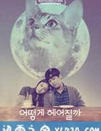 如何与我的猫分手 어떻게 헤어질까 (2016)