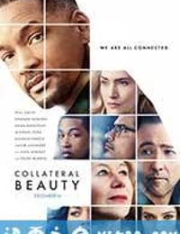 附属美丽 Collateral Beauty (2016)