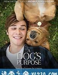 一条狗的使命 A Dog's Purpose (2017)