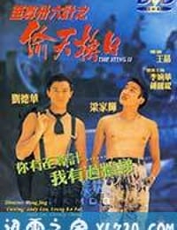 将计就计 至尊卅六計之偷天換日 (1993)