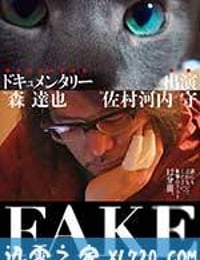 FAKE (2016)