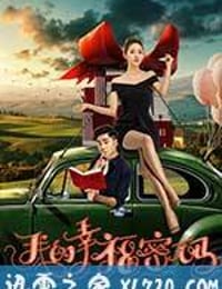 我的幸福密码 (2017)