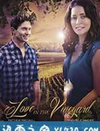 爱在葡萄园 Love in the Vineyard (2016)