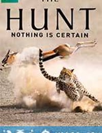 猎捕 The Hunt (2015)