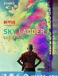 天梯：蔡国强的艺术 Sky Ladder: The Art of Cai Guo-Qiang (2016)