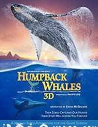 座头鲸 Humpback Whales (2015)