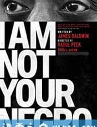 我不是你的黑鬼 I Am Not Your Negro (2017)