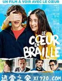 我是你的眼 Le Coeur en braille (2016)