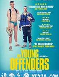 少年犯 The Young Offenders (2016)