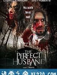 完美丈夫 The Perfect Husband (2014)