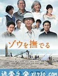 抚摸大象 ゾウを撫でる (2017)