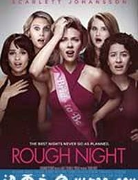 仓皇一夜 Rough Night (2017)