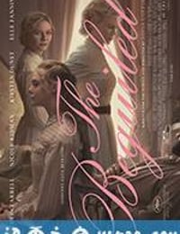 牡丹花下 The Beguiled (2017)