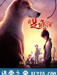 我是谁的宝贝 (2017)