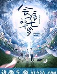 会痛的十七岁 (2017)