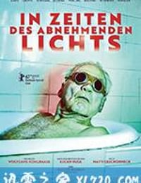 光芒渐逝的年代 In Zeiten des abnehmenden Lichts (2017)