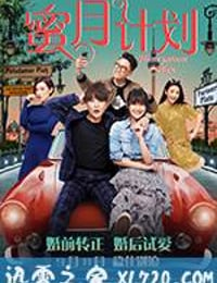 蜜月计划 (2017)