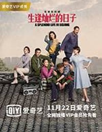 生逢灿烂的日子 (2017)