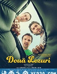 两张彩票 Două lozuri (2016)