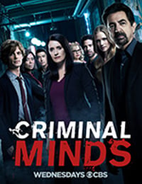 犯罪心理 第十三季 Criminal Minds Season 13 (2017)