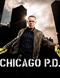 芝加哥警署 第五季 Chicago P.D. Season 5 (2017)