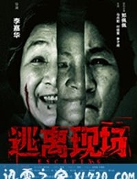 逃离现场 (2017)