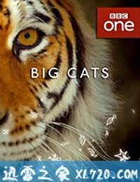 大猫 Big Cats (2018)