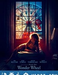 摩天轮 Wonder Wheel (2017)