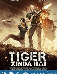 老虎是活的 Tiger Zinda Hai (2017)