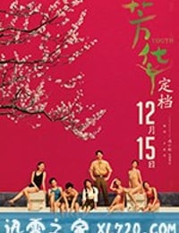 芳华 (2017)