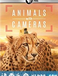 假如动物会摄影 Animals with Cameras (2018)