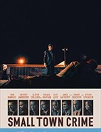 小城犯罪 Small Town Crime (2017)