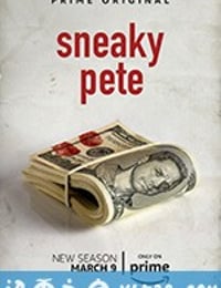 诈欺担保人 第二季 Sneaky Pet Season 2 (2018)