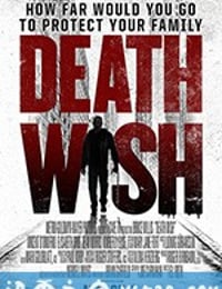 猛龙怪客 Death Wish (2018)